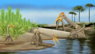 An artist’s impression of hatchling pterosaurs. Image credit: Megan Jacobs.