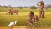 Homo bodoensis had a pan-African distribution with the peripheral range extending into the eastern Mediterranean (Southeast Europe and the Levant) from which it could have contributed to the repopulation of European (and possibly Central and East Asian) demographic sinks after the glaciations. Image credit: Ettore Mazza.