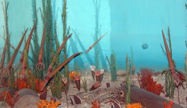 Ordovician sea life. Image credit: Fritz Geller-Grimm / National Museum of Natural History / CC BY-SA 2.5.