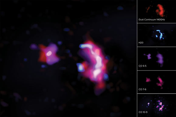 These images show the molecular lines and dust continuum seen in ALMA observations of SPT0311-58. On left: a composite image combining the dust continuum with molecular lines for water and carbon monoxide. On right: the dust continuum seen in red (top), molecular line for water shown in blue (second from top), molecular line transitions for carbon monoxide, CO(6-5) shown in purple (middle), CO(7-6) shown in magenta (second from bottom), and CO(10-9) shown in pinks and deep blue (bottom). Image credit: ALMA / ESO / NAOJ / NRAO / S. Dagnello, NRAO.