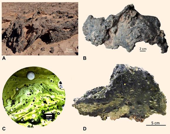 (A) example of large glass slab at Chipana (Chile) that folded over during emplacement; (B) twisted glass slab with two contrasting surfaces from Puquio de Núñez: one side is rough with sediments attached; the other side is smooth with flow patterns; contrasting textures indicate formation on a sedimentary surface with subsequent mobilization; (C) thin-section view of folded glass from Puquio de Núñez showing typical green color, vesicles, and schlieren; (D) cut section of large vesicular glass slab with multiple folds that indicate folding while still molten. Image credit: Schultz et al., doi: 10.1130/G49426.1.