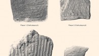 Upper faces of the engraved chalk plaques from the Stonehenge region. Image credit: Davis et al., doi: 10.1017/ppr.2021.13.