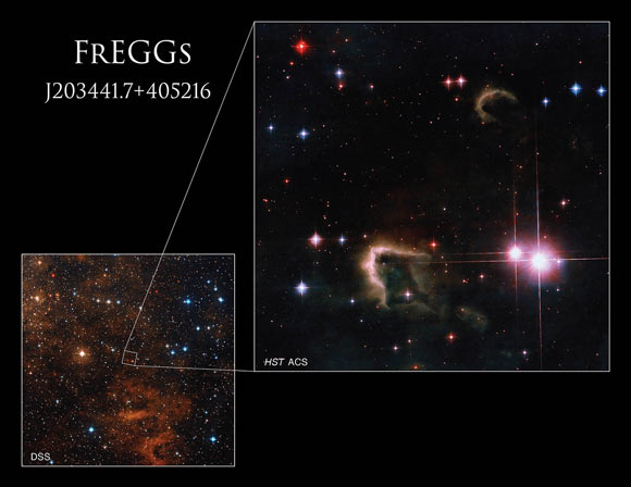 This image from the Digitized Sky Survey shows the location of frEGGs J203441.7+405216. Image credit: NASA / ESA / Hubble / R. Sahai, NASA’s Jet Propulsion Laboratory / DSS / Gladys Kober, NASA & Catholic University of America.