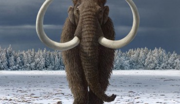 Fordham et al. revealed a 20,000-year pathway to the extinction of the woolly mammoth (Mammuthus primigenius). Image credit: Mauricio Anton.