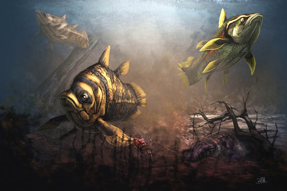 Reconstruction of Mawsonia sp. roaming in the brackish or fresh water costal environment of Texas during the Cenomanian age of the Late Cretaceous epoch. Image credit: Zubin Erik Dutta.