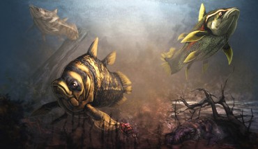 Reconstruction of Mawsonia sp. roaming in the brackish or fresh water costal environment of Texas during the Cenomanian age of the Late Cretaceous epoch. Image credit: Zubin Erik Dutta.