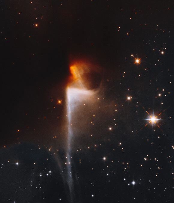 This Hubble images shows the dark nebula LDN 1165. Image credit: NASA / ESA / Hubble / T. Megeath, University of Toledo / K. Stapelfeldt, NASA’s Jet Propulsion Laboratory / Gladys Kober, NASA & Catholic University of America.