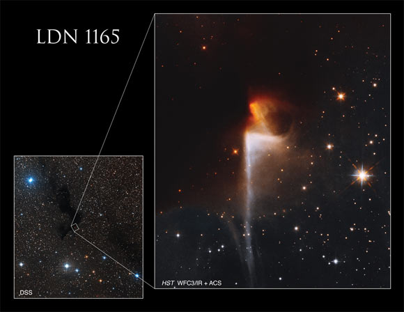 Hubble imaged a small portion of LDN 1165. Image credit: NASA / ESA / Hubble / T. Megeath, University of Toledo / K. Stapelfeldt, NASA’s Jet Propulsion Laboratory / DSS / Gladys Kober, NASA & Catholic University of America.