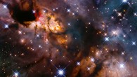 This Hubble image shows the Prawn Nebula. Image credit: NASA / ESA / Hubble / J. Tan, Chalmers University of Technology / Gladys Kober, NASA & Catholic University of America.