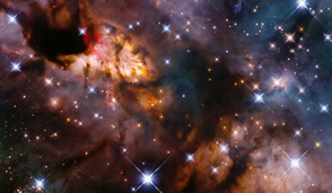This Hubble image shows the Prawn Nebula. Image credit: NASA / ESA / Hubble / J. Tan, Chalmers University of Technology / Gladys Kober, NASA & Catholic University of America.