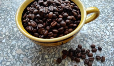 Habitual coffee intake may be a protective factor against Alzheimer’s disease; specifically, increased coffee consumption could contribute to slower cognitive decline potentially by slowing the rate of cerebral Aβ-amyloid accumulation, and in doing so, ameliorate the associated neurotoxicity from Aβ-amyloid-mediated oxidative stress and inflammatory processes. Image credit: Sci-News.com.