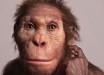 Life reconstruction of Australopithecus sediba commissioned by the University of Michigan Museum of Natural History. Image credit: Elisabeth Daynes / S. Entressangle.