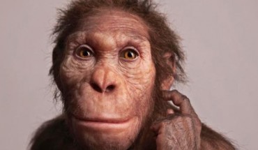 Life reconstruction of Australopithecus sediba commissioned by the University of Michigan Museum of Natural History. Image credit: Elisabeth Daynes / S. Entressangle.