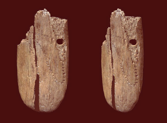 Dorsal views of the 41,500-year-old decorated ivory pendant from Stajnia Cave, Poland. Image credit: Antonino Vazzana / BRAVHO Lab, Bologna University.