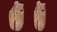 Dorsal views of the 41,500-year-old decorated ivory pendant from Stajnia Cave, Poland. Image credit: Antonino Vazzana / BRAVHO Lab, Bologna University.