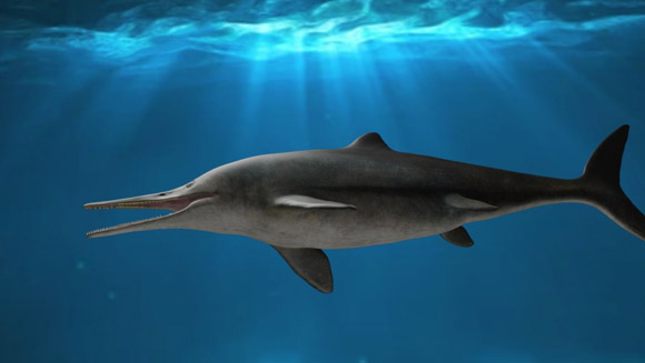 Life reconstructions of Kyhytysuka sachicarum. Image credit: Dirley Cortés.