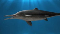 Life reconstructions of Kyhytysuka sachicarum. Image credit: Dirley Cortés.
