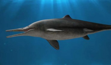 Life reconstructions of Kyhytysuka sachicarum. Image credit: Dirley Cortés.