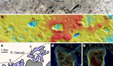Laetoli location and site rediscovery: (a) a model of Laetoli site A generated using photogrammetry showing the five hominin footprints; (b) corresponding contour map of the site generated from a 3D surface scan with scale bar; (c) map of Laetoli localities 7 and 8, indicating the positions of bipedal trackways A, G and S; (d, e) topographical maps of the two best preserved A footprints, A2 (d) and A3 (e). Image credit: McNutt et al., doi: 10.1038/s41586-021-04187-7.
