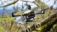 The SNAG robot. Image credit: William Roderick.