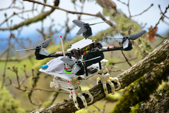 The SNAG robot. Image credit: William Roderick.