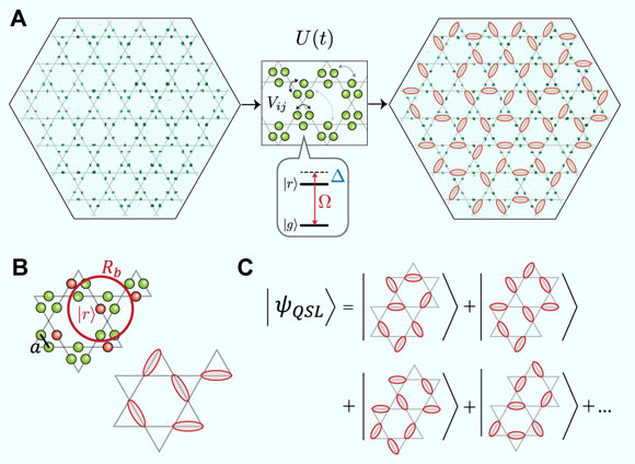 Dimer model in Rydberg atoms arrays: (A) fluorescence image of 219 atoms arranged on the links of a kagome lattice; Rydberg atoms are marked with red dimers on the bonds of the kagome lattice; (B) a state consistent with the Rydberg blockade at maximal filling can then be viewed as a dimer covering of the kagome lattice, where each vertex is touched by exactly one dimer; (C) the quantum spin liquid state corresponds to a coherent superposition of exponentially many dimer coverings. Image credit: Semeghini et al., doi: 10.1126/science.abi8794.