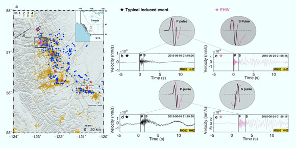 Study area and hybrid-frequency waveform earthquakes (EHWs): (a) hydraulic fracturing activity and seismicity in northeast British Columbia, Canada; the top-right inset shows the geographic location of the study area (red rectangle); blue diamonds: hydraulic fracturing injection wells between January 1, 2014 and December 31, 2016, reported by the British Columbia Oil and Gas Commission; yellow dots: earthquakes during the same period; stars: 10 M 4-5 earthquakes since 2008; black rectangle: study area in which EHWs occurred; (b, c) comparison between representative examples of a typical induced event (black trace) and an EHW (purple trace); both waveforms are from the vertical component of station MG03 with comparable source-station distance (1.32 km vs. 1.65 km) and magnitudes (MW1.5); manually picked P/S-arrivals are marked; the comparison of P/S-pulse shape demonstrates the relatively wider pulses for EHWs; (d, e) the same as (b) and (c) but for waveforms recorded at station MG02; both events show longer coda durations with slightly larger epicentral distances; note that although both types of events have extended coda durations, the EHW contains a relatively larger proportion of lower-frequency energy in the coda. Image credit: Yu et al., doi: 10.1038/s41467-021-26961-x.