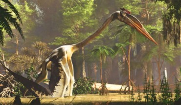 An artist’s rendition of Quetzalcoatlus northropi. Image credit: James Kuether.