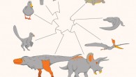 A simplified evolutionary tree showing where bright colors appear on birds and other living species from the study and where these colors may have appeared on their extinct relatives, including dinosaurs; skin (shown in orange), and scales and beak keratin (yellow) could have been brightly pigmented in extinct groups, whereas feathers and claws would probably not have been; areas without bright color are shown in gray. Image credit: Sarah Davis / University of Texas at Austin.