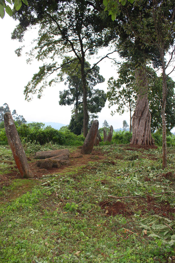 The megalithic stele monument at the archeological site of Sakaro Sodo in Gedeo zone, Ethiopia. Image credit: Andrew Duff.