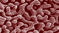 The copper magnified 500,000 times under a scanning electron microscope shows its tiny nano-scale pores. Image credit: RMIT University.