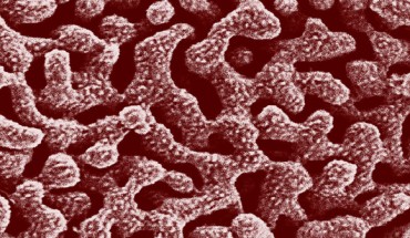 The copper magnified 500,000 times under a scanning electron microscope shows its tiny nano-scale pores. Image credit: RMIT University.