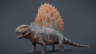 An artist’s impression of the likely-endothermic Dimetrodon grandis, an early synapsid that was around for about 20 million years from the Early Permian epoch, 295 million years ago. Image credit: Max Bellomio.