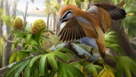 Life reconstruction of Brevirostruavis macrohyoideus. Image credit: Institute of Vertebrate Paleontology and Paleoanthropology, Chinese Academy of Sciences.