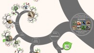 Screenshot from the OneZoom tree of life explorer with leaves colored according to extinction risk and showing the ‘spiral’ view of the tree. Image credit: OneZoom.