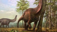Brontosaurus acted as an ecosystem engineer in a warm and vegetated landscape not dissimilar to modern-day savannah type biomes. Image credit: Emiliano Troco.