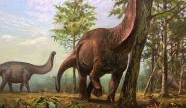 Brontosaurus acted as an ecosystem engineer in a warm and vegetated landscape not dissimilar to modern-day savannah type biomes. Image credit: Emiliano Troco.