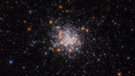 This Hubble image shows NGC 1755, an open star cluster some 160,000 light-years away in the southern constellation of Dorado. The color image was made from separate exposures taken in the ultraviolet, visible and near-infrared regions of the spectrum with Hubble’s Advanced Camera for Surveys (ACS) and Wide Field Camera 3 (WFC3). Three filters were used to sample various wavelengths. The color results from assigning different hues to each monochromatic image associated with an individual filter. Image credit: NASA / ESA / Hubble / A. Milone / G. Gilmore.