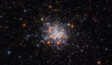 This Hubble image shows NGC 1755, an open star cluster some 160,000 light-years away in the southern constellation of Dorado. The color image was made from separate exposures taken in the ultraviolet, visible and near-infrared regions of the spectrum with Hubble’s Advanced Camera for Surveys (ACS) and Wide Field Camera 3 (WFC3). Three filters were used to sample various wavelengths. The color results from assigning different hues to each monochromatic image associated with an individual filter. Image credit: NASA / ESA / Hubble / A. Milone / G. Gilmore.