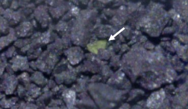A carbonate-rich grain in the sample of material from the near-Earth asteroid Ryugu. Image credit: Pilorget et al., doi: 10.1038/s41550-021-01549-z.