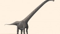 Life restoration of Mamenchisaurus youngi, the best-known member of the family Mamenchisauridae. Image credit: Steveoc 86 / CC BY-SA 2.5.