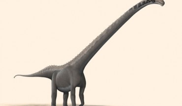 Life restoration of Mamenchisaurus youngi, the best-known member of the family Mamenchisauridae. Image credit: Steveoc 86 / CC BY-SA 2.5.