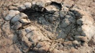An individual footprint of a sauropodomorph dinosaur on the foreshore near Penarth, south Wales, the United Kingdom. Image credit: Peter Falkingham, Natural History Museum, London.