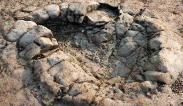 An individual footprint of a sauropodomorph dinosaur on the foreshore near Penarth, south Wales, the United Kingdom. Image credit: Peter Falkingham, Natural History Museum, London.