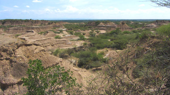 A view of the Omo-Kibish geological formation in southwestern Ethiopia. Credit: Céline Vidal.