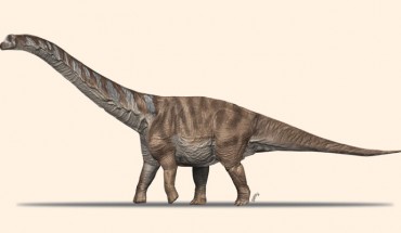An artist’s impression of Abditosaurus kuehnei. Image credit: Oscar Sanisidro, Museu de la Conca Dellà.