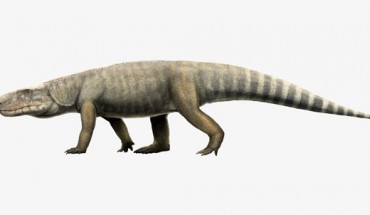 Life reconstruction of Mambawakale ruhuhu. Image credit: Gabriel Ugueto.