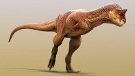 An artist’s reconstruction of Carnotaurus sastrei, an abelisaurid theropod that lived in South America during the Late Cretaceous epoch, sometime between 72 and 70 million years ago. Image credit: Jake Baardse.