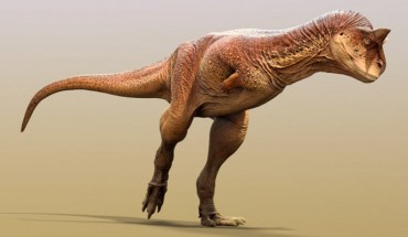 An artist’s reconstruction of Carnotaurus sastrei, an abelisaurid theropod that lived in South America during the Late Cretaceous epoch, sometime between 72 and 70 million years ago. Image credit: Jake Baardse.