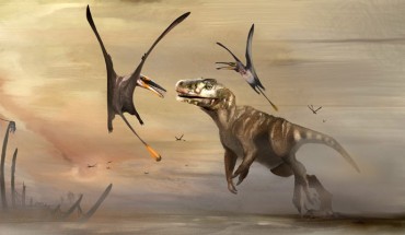 An artist’s impression of the Middle Jurassic pterosaur Dearc sgiathanach. Image credit: Natalia Jagielska.